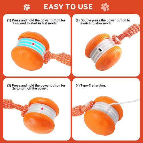 Interactive Dog Ball Toy