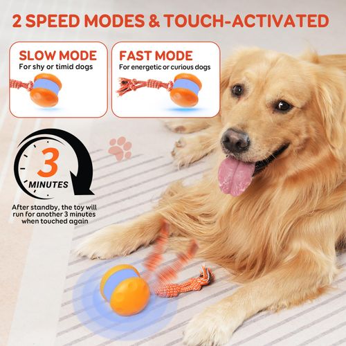 Interactive Dog Ball Toy