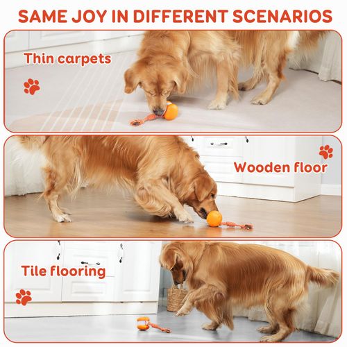 Interactive Dog Ball Toy