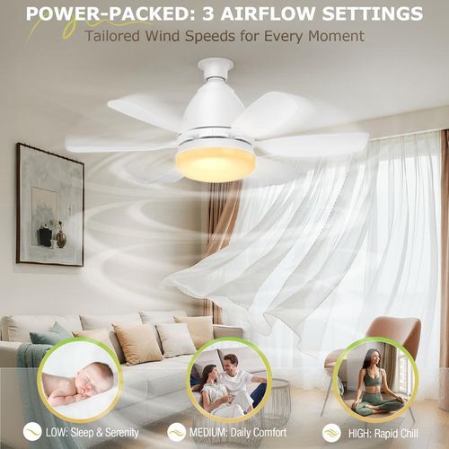 🔥Socket Fan Light Ceiling Fans with Lights and Remote