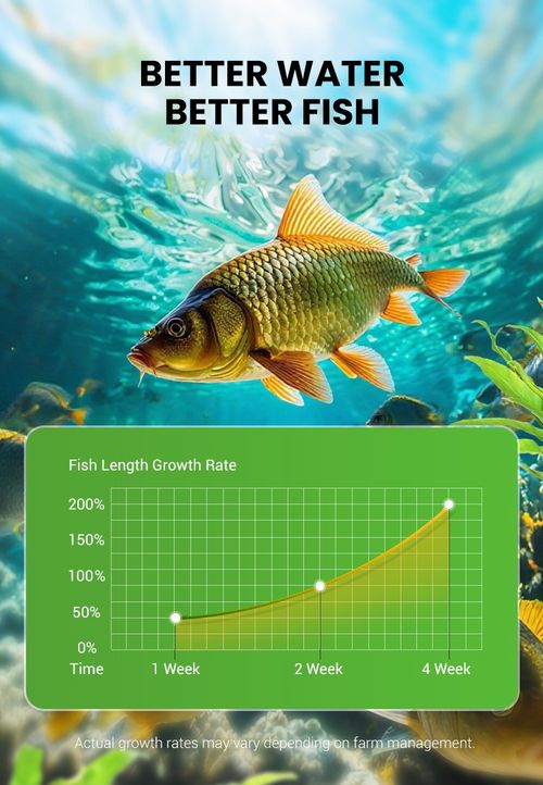 500g Premium Pond Care Powder | Water Clarifier & Algae Control 🐟🌊🔬