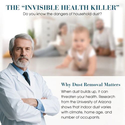 🖤2026 New Year · 40% OFF🖤Indoor Air Purification Dust Removal Magic Box🏠🌿