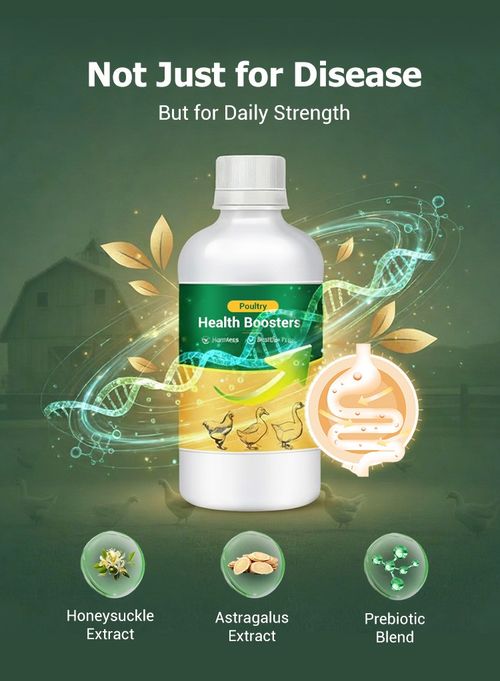🐓Poultry Multi-Symptom Oral Solution – Treats Respiratory, Digestive & Immune Issues in One Dose!🐔💦