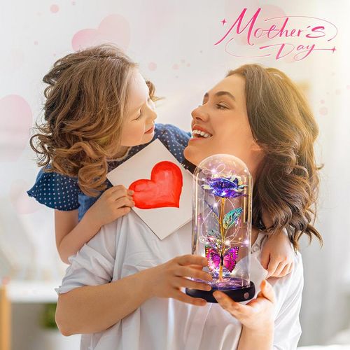 Eternal Rose Flower Led Light Up Rose in Glass Dome with Butterfly for Mom Girlfriend Boyfriend Daughter Women Teen Girl