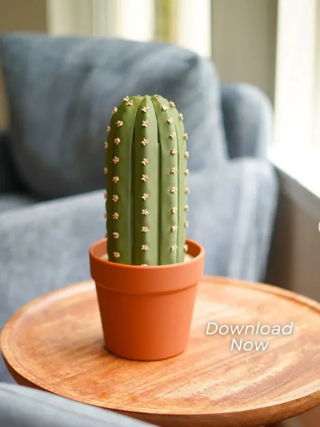 Cactichess - Roll up Cactus Chess Set, Cacti Chess