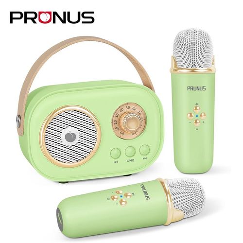 Mini Karaoke Machine Portable Bluetooth Speaker with Wireless Microphone 6 Sound Modes for Adults&Kids Birthday Home Farmily Friends Party Gifts for Girls Boys Friends