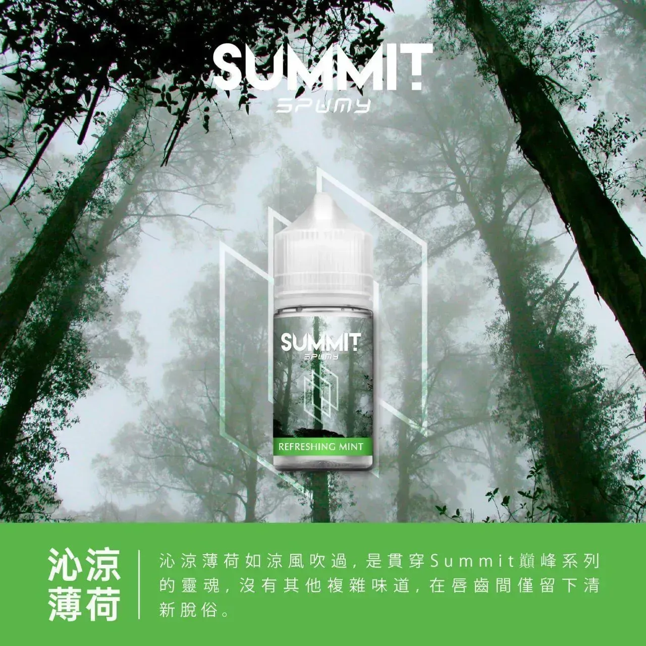 SUMMIT首腦 30ml 多口味 小煙補油電子煙油