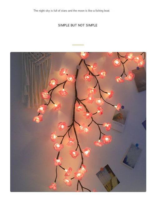 New Multifunctional Glass Oil Sprayer