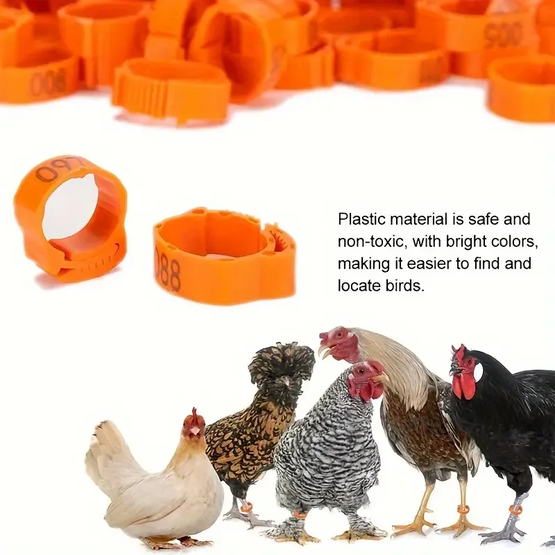 Colorful Chicken Leg Bands