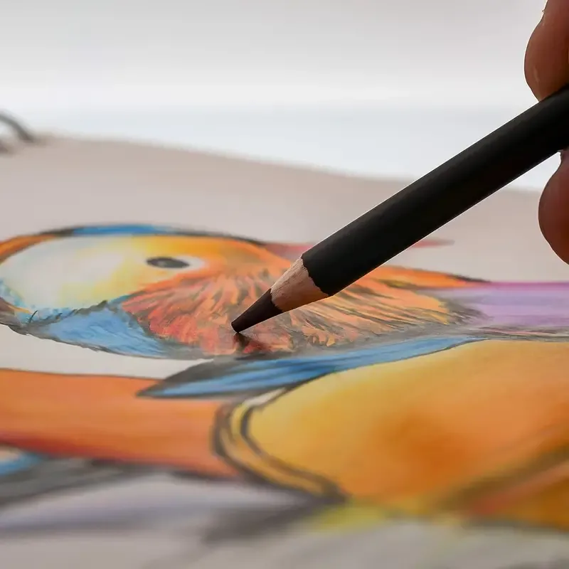 Colored Drawing Pencils Art Kit