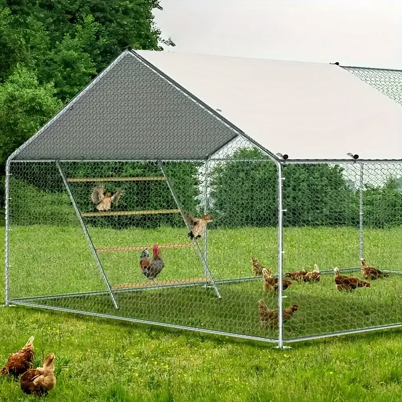 Metal Chicken Perch