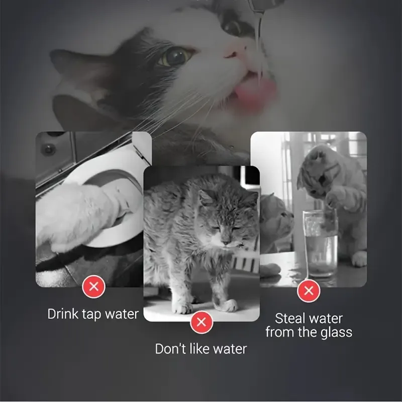 1.8L Smart Pet Water Fountain, Automatic Cat Water Fountain, Transparent Ultra Quiet Cat Water Dispenser For Indoor Cats