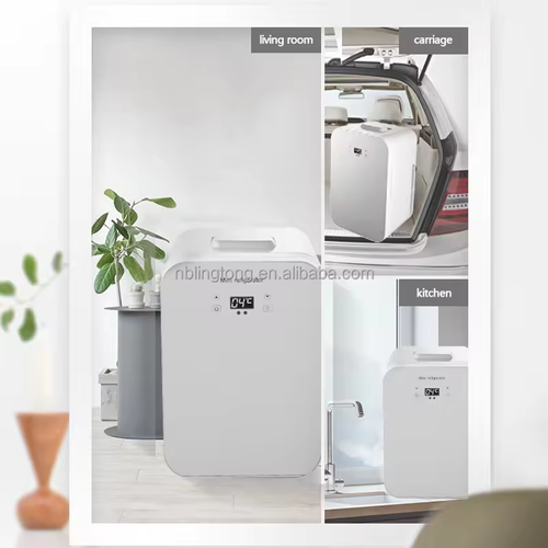 15L Mini Car Fridge Portable Cosmetic Refrigerator Electric Cooler Warmer Portable Car Fridge For Travel , Home