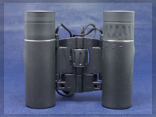 8x21 Binoculars for Adults and Kids Folding Compact Lightweight Small Binoculars for Bird Watching Hiking Travel Concerts Mini for Hiking (Black, One Size)