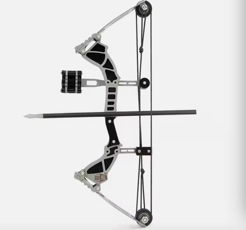 Compound Bow and Arrows Set