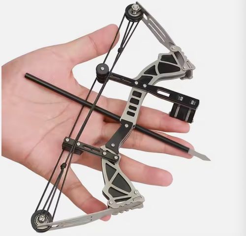 Compound Bow and Arrows Set