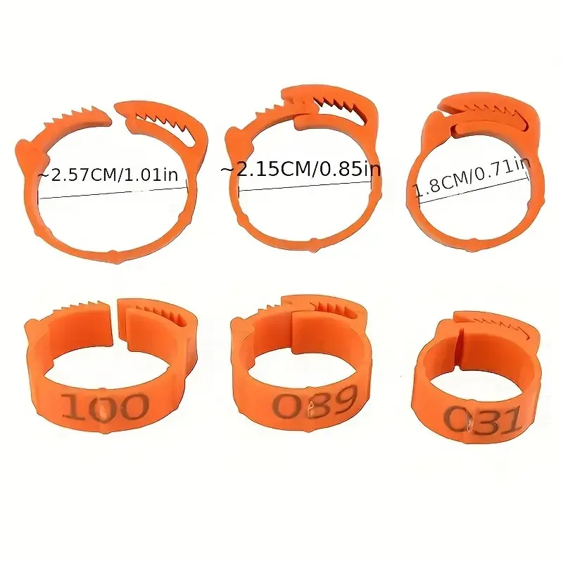 Colorful Chicken Leg Bands