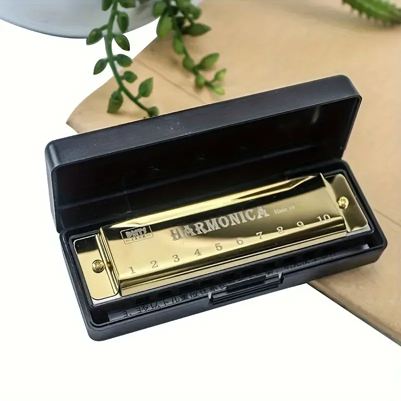 10 Hole Harmonica Mouth Organ