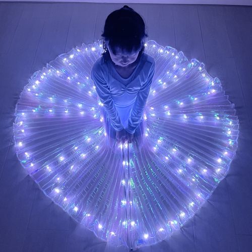 Radiant LED Butterfly Wings