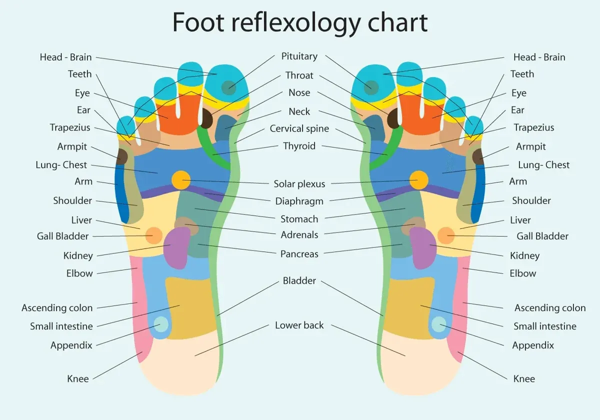 Foot Roller