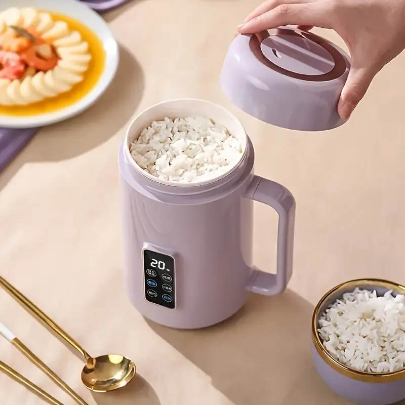 Multi-Functional Portable Cooker