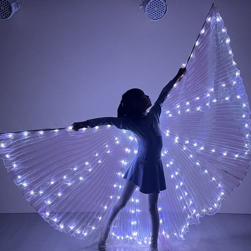 Radiant LED Butterfly Wings