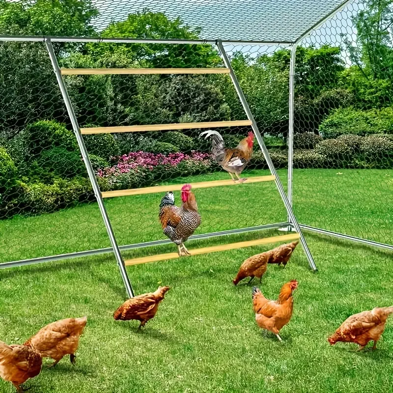 Metal Chicken Perch