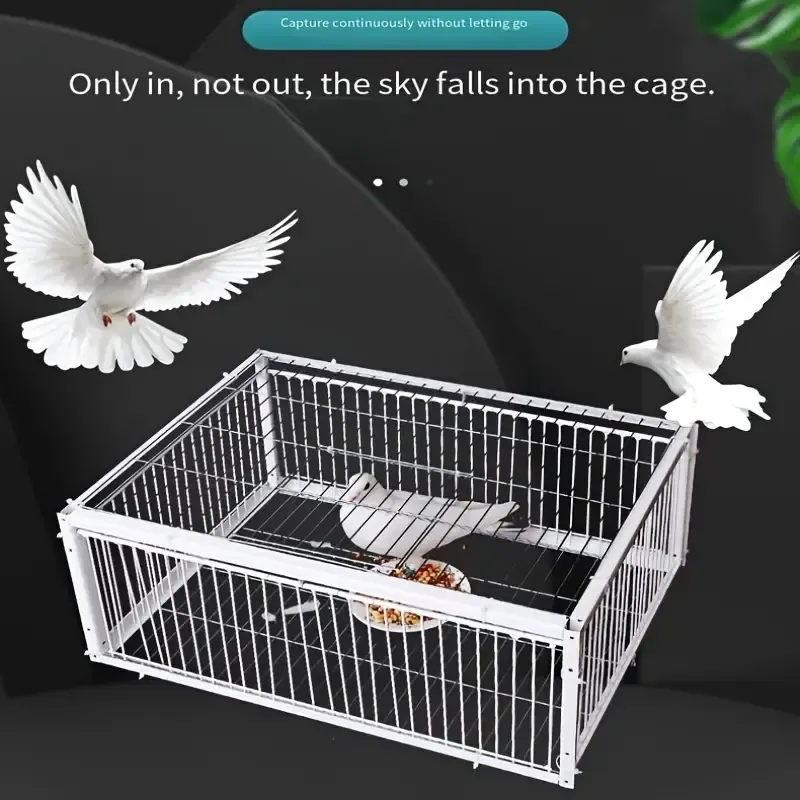 Heavy-Duty Iron Alloy Pigeon Cage with Automatic Collecting Device - Secure, No-Exit Design for Outdoor Use