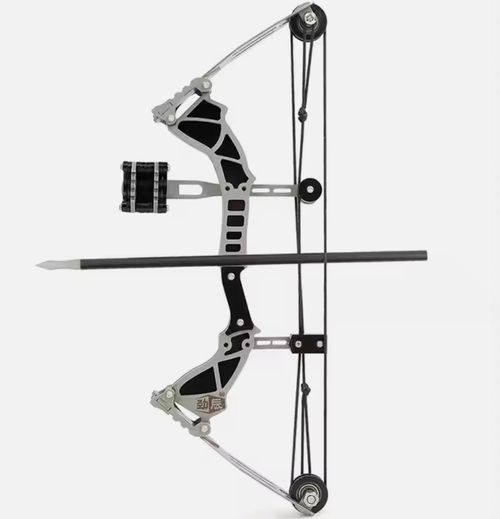 Compound Bow and Arrows Set