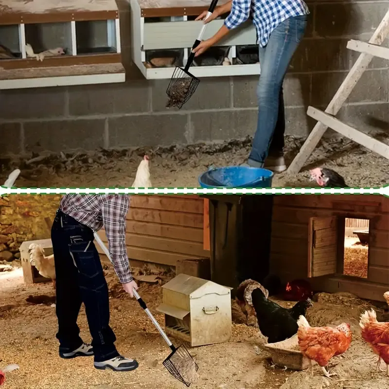 Metal Chicken Manure Scooper