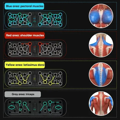 SAKER® Foldable Push-Up Multi-Muscle Trainer