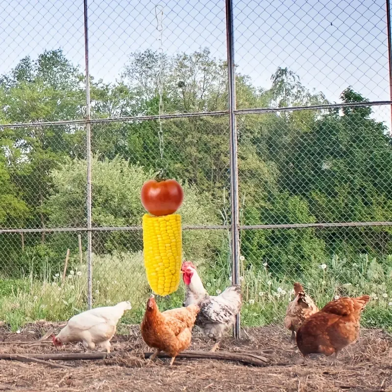 Chicken Toys For Coop Accessories