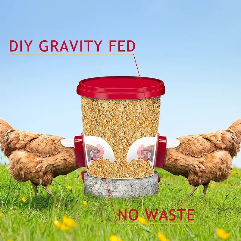 6-Port Rainproof Chicken Feeder Kit