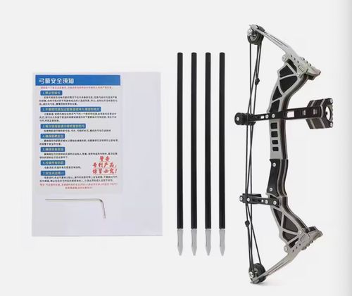 Compound Bow and Arrows Set