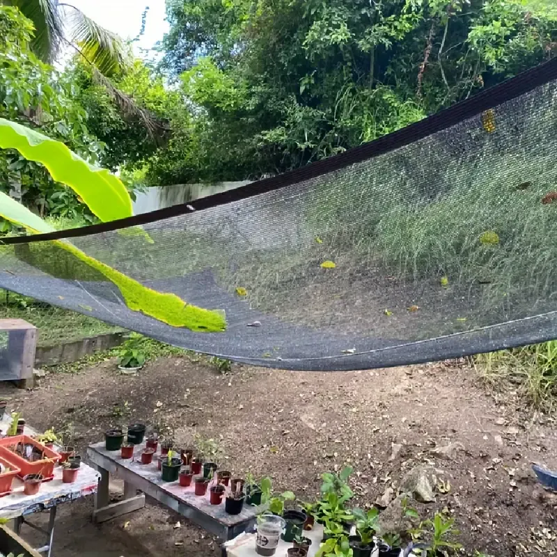 Sun Shade Netting