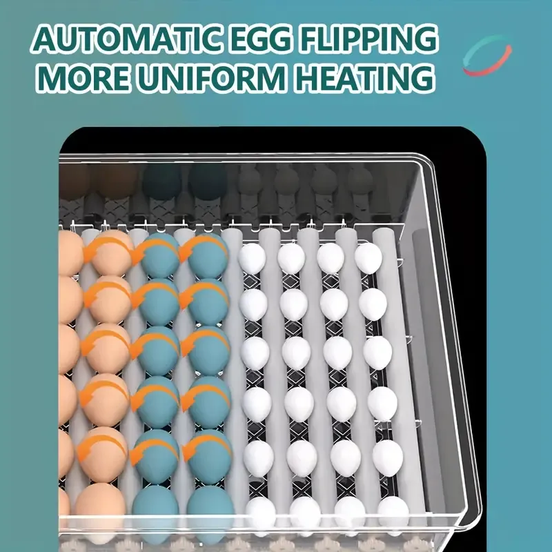Egg Fully Automatic Incubator