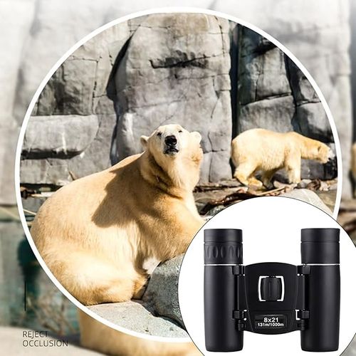 8x21 Binoculars for Adults and Kids Folding Compact Lightweight Small Binoculars for Bird Watching Hiking Travel Concerts Mini for Hiking (Black, One Size)