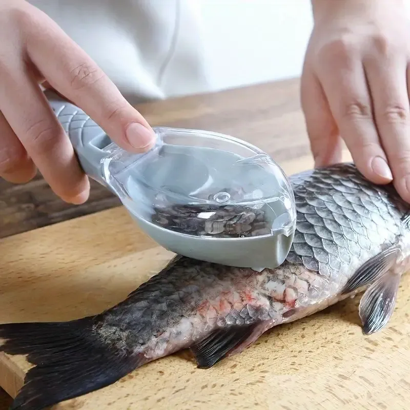 Flying Fish Shape Scraping