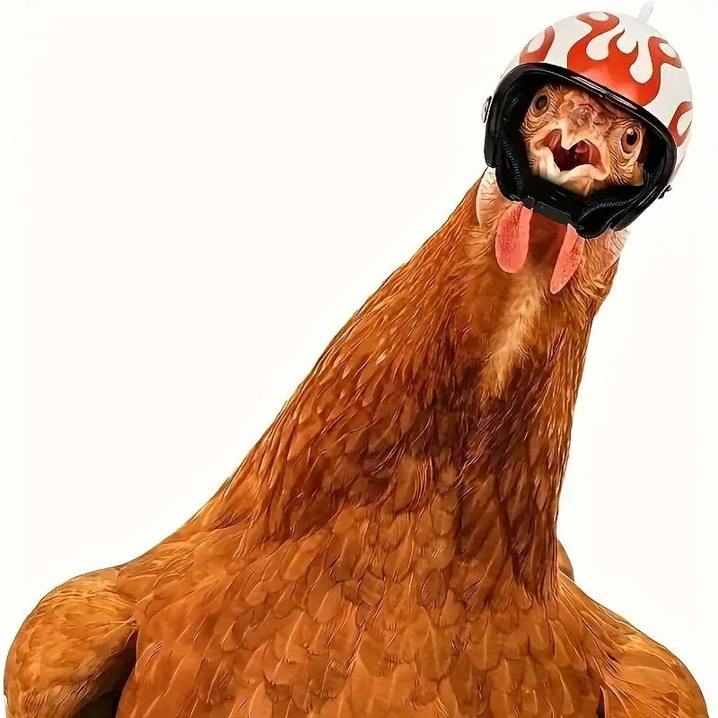🔥LAST DAY BIG SALE 🔥20pcs Protective Helmet For Pet Chicken With Adjustable Chin Strap, Pet Costume Accessory For Chickens & Small Animals