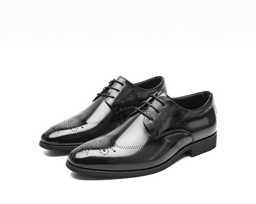 Metallic brushed leather shoes