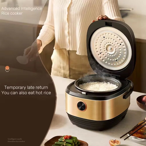 🔥2024 HOT SALE --Rice Cooker