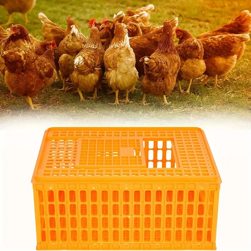 Heavy Duty Plastic Poultry Transport Crate