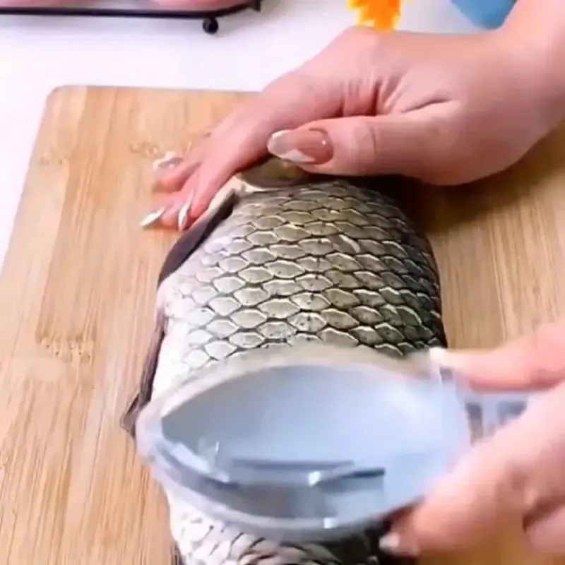Flying Fish Shape Scraping