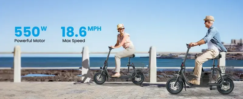 Electric Scooter