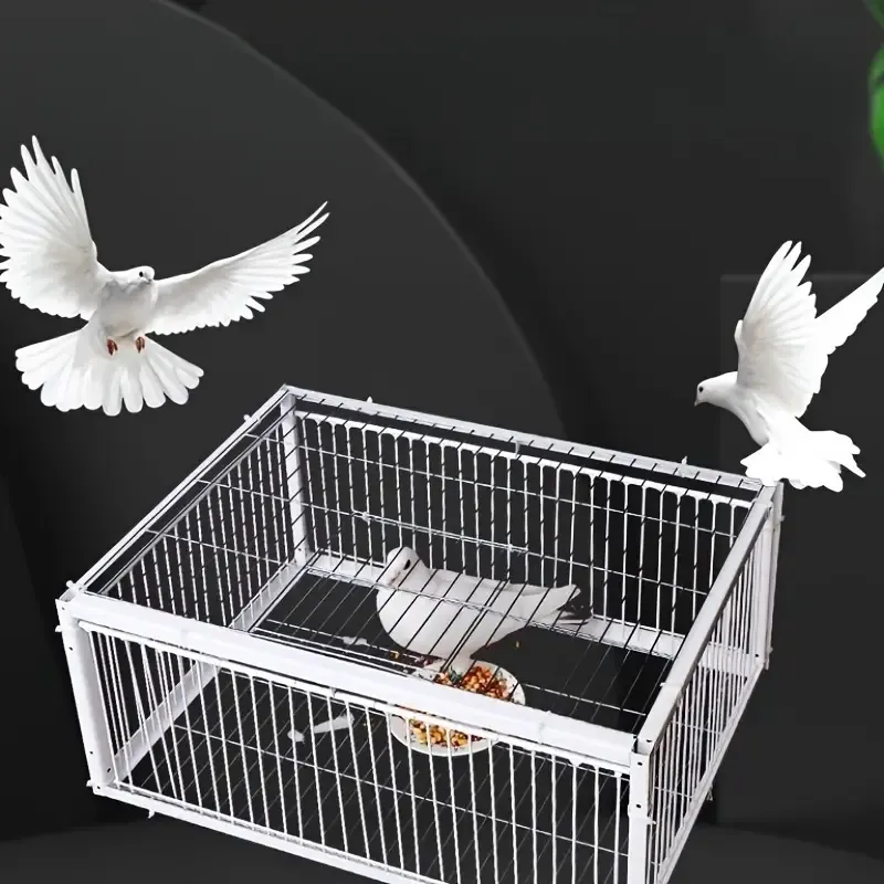Heavy-Duty Iron Alloy Pigeon Cage with Automatic Collecting Device - Secure, No-Exit Design for Outdoor Use