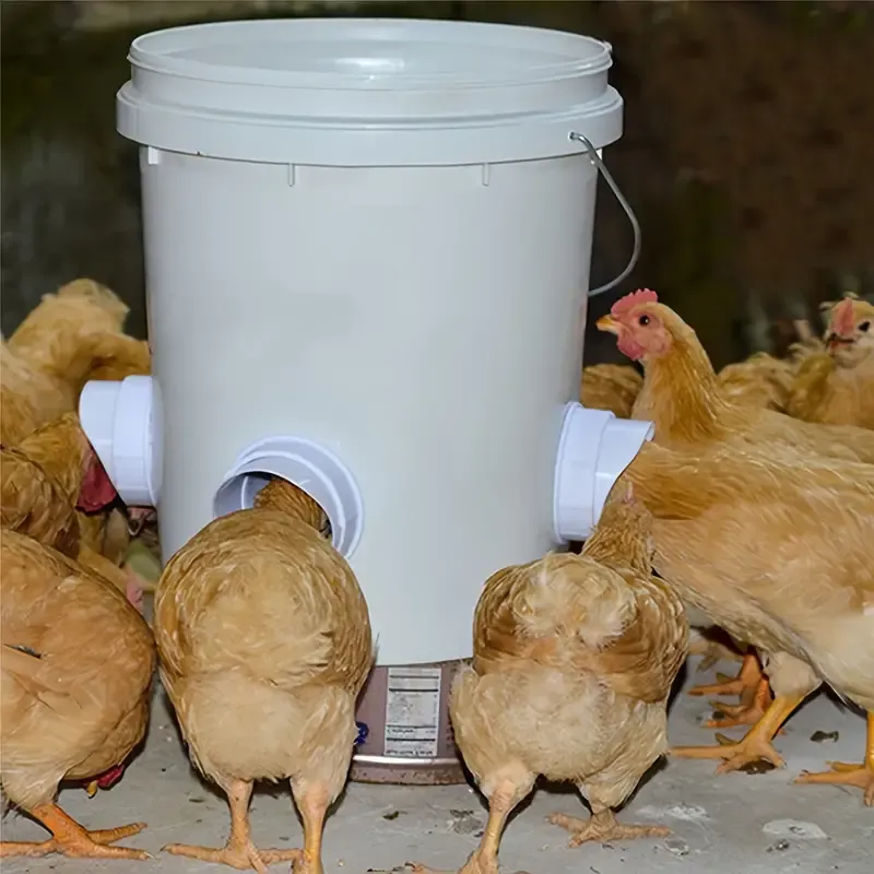 Plastic Chicken Feeder Kit