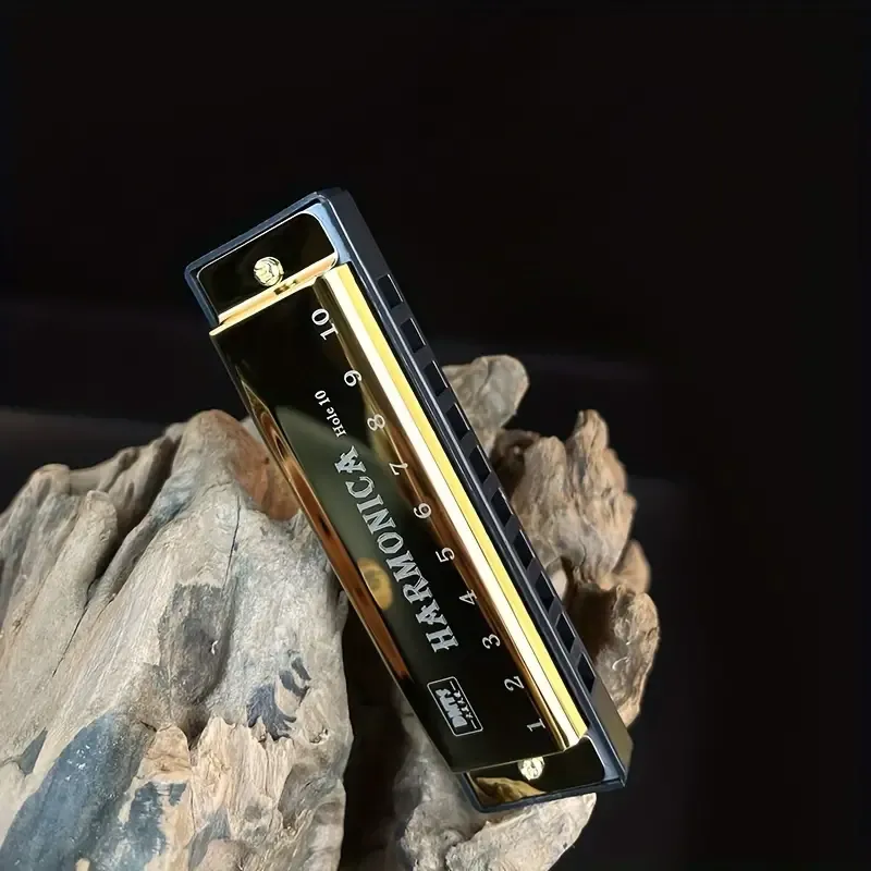 10 Hole Harmonica Mouth Organ
