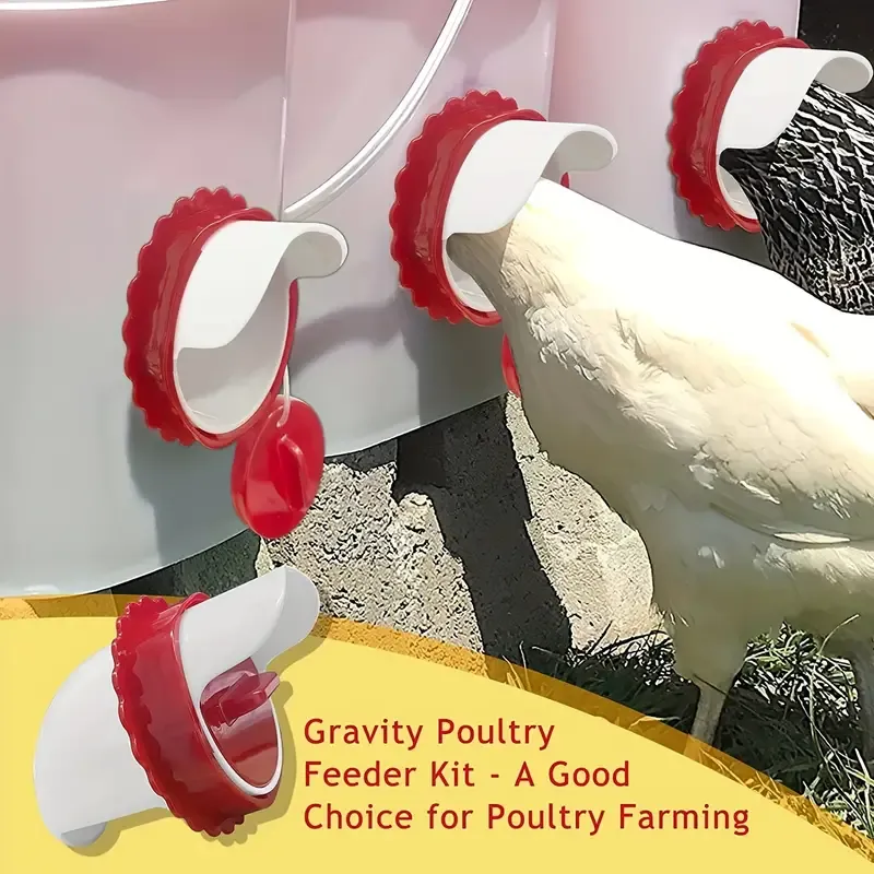 6-Port Rainproof Chicken Feeder Kit