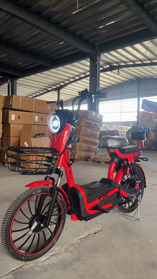 20 inch big tire electric bike E-bike electric bicycle Big power and long endurance