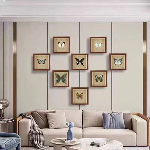 Green Banded Crested Butterfly Real Butterfly Specimen Finished Gift Ornament Decoration